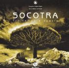 Socotra. Tra tempo e spazio
