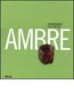 Ambre. Trasparenze dall'antico. Catalogo della mostra (Napoli, 26 marzo-10 settembre 2007)