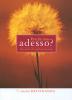 Perch� non adesso?