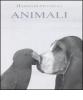 Hanno detto degli animali