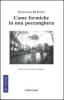 Come formiche in una pozzanghera