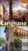 Guida-ritratto della citt� di Carignano