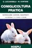 Coniglicoltura pratica