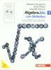 Algebra.Blu. Statistica. Con espansione online. Per le Scuole superiori. Con DVD-ROM vol.1