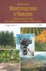 Montepulciano d'Abruzzo. Dalle montagne al mare alla scoperta di un territorio e del suo vino
