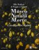 Museo della natura morta