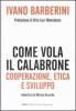 Come vola il calabrone. Cooperazione, etica e sviluppo