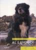 Al lavoro!
