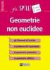 Geometrie non euclidee