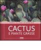 Cactus e piante grasse