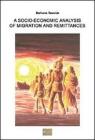 Socio-economic analysis of migration and remittances (A)