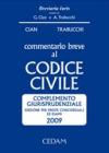 Commentario breve al codice civile. Complemento giurisprudenziale (2009)