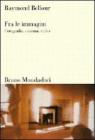 Fra le immagini. Fotografia, cinema, video
