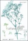 La palla di Farra di Mel. Un viaggio in altalena
