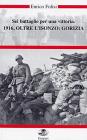 Sei battaglie per una vittoria. 1916, oltre l'Isonzo: Gorizia. Con DVD