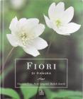 Fiori di pianura