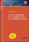 Il trust: comparazione tra la �propriet� civile� e la �propriet� del trustee