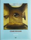 Cesare Reggiani. Esperienze
