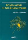 Fondamenti di neuroanatomia
