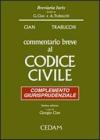 Commentario breve al Codice civile. Complemento giurisprudenziale