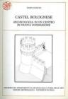 Castel Bolognese. Archeologia di un centro di nuova fondazione Castel Bolognese. Archeologia di un centro di nuova fondazione
