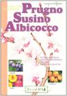 Frutteto in giardino. Prugno, susino, albicocco Frutteto in giardino. Prugno, susino, albicocco