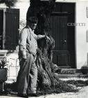Giuseppe Cesetti. Opere recenti