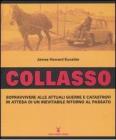 Collasso. Sopravvivere alle attuali guerre e catastrofi in attesa di un inevitabile ritorno al passato