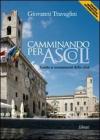 Camminando per Ascoli. Guida ai momumenti della citt�