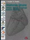 Anatomia umana. Citologia, istologia, embriologia