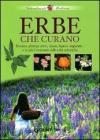 Erbe che curano. Essenze, principi attivi, tisane, liquori e unguenti... e in più il ricettario delle erbe selvatiche Erbe che curano. Essenze, principi attivi, tisane, liquori e unguenti... e in più il ricettario delle erbe selvatiche