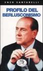 Profilo del berlusconismo