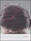Marc Quinn. Catalogo della mostra (Roma, 22 giugno-30 settembre 2006). Ediz. italiana e inglese