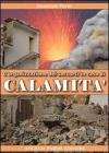 L' organizzazione dei soccorsi in caso di calamit�