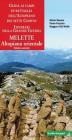 Guida ai campi di battaglia dell'altipiano dei sette comuni vol.2