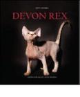 Devon Rex
