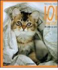 Centouno cataclismi. Per amore dei gatti
