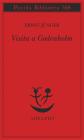 Visita a Godenholm