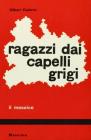 Ragazzi dai capelli grigi