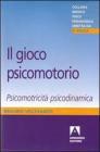 Il gioco psicomotorio. Psicomotricit� psicodinamica