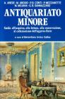 Antiquariato minore. Guida all'acquisto, alla lettura, alla conservazione, al collezionismo dell'oggetto d'arte