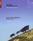La Calabria brucia
