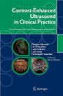 Contrast-enhanced ultrasound in clinical practice. Liver, prostate, pancreas, kidney and lymph nodes