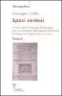 Spazi contesi. Camera della Sommaria, baronaggio, citt� e costruzione dell'apparato territoriale del Regno di Napoli (secc. XV-XVIII) vol.2