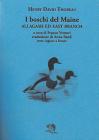 I boschi del Maine-Allegash ed east branch. Testo inglese a fronte