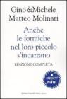 Anche le formiche nel loro piccolo s'incazzano