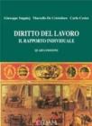 Diritto del lavoro. Il rapporto individuale Diritto del lavoro. Il rapporto individuale