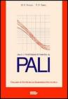 Pali. Analisi e progettazione