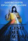 Il Gesù dei miracoli Il Gesù dei miracoli