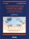 L' endotelio vascolare. Aspetti morfofunzionali, fisiopatologici e terapeutici